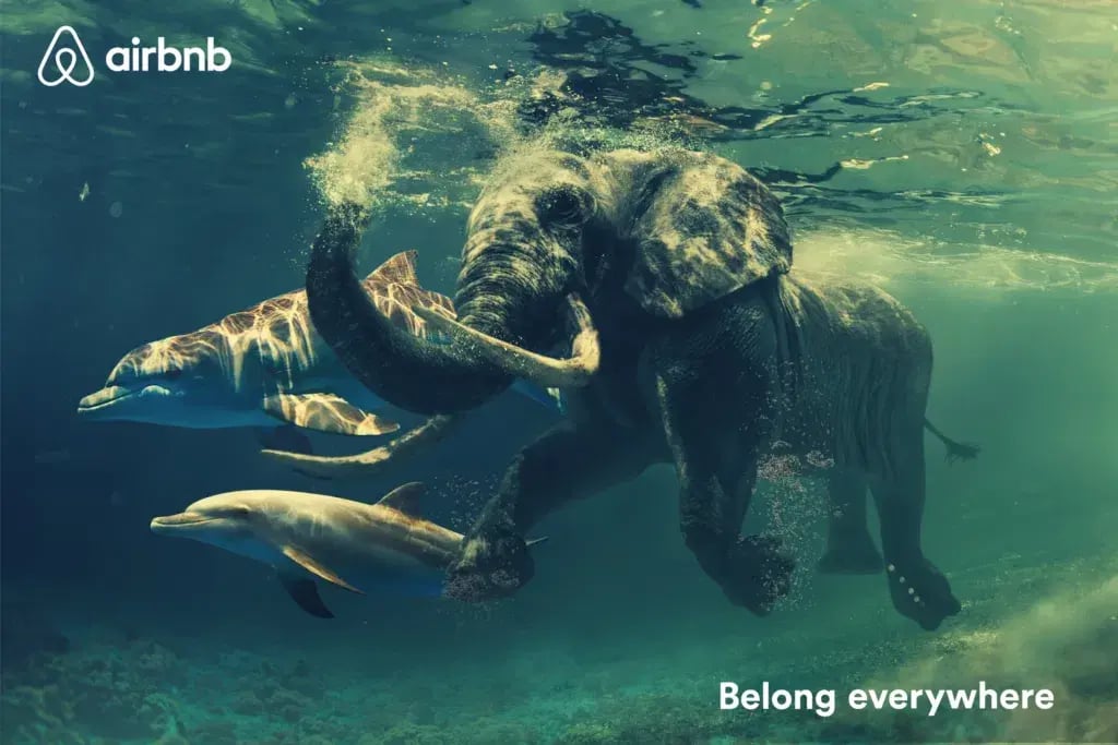 Airbnb - belong everywhere