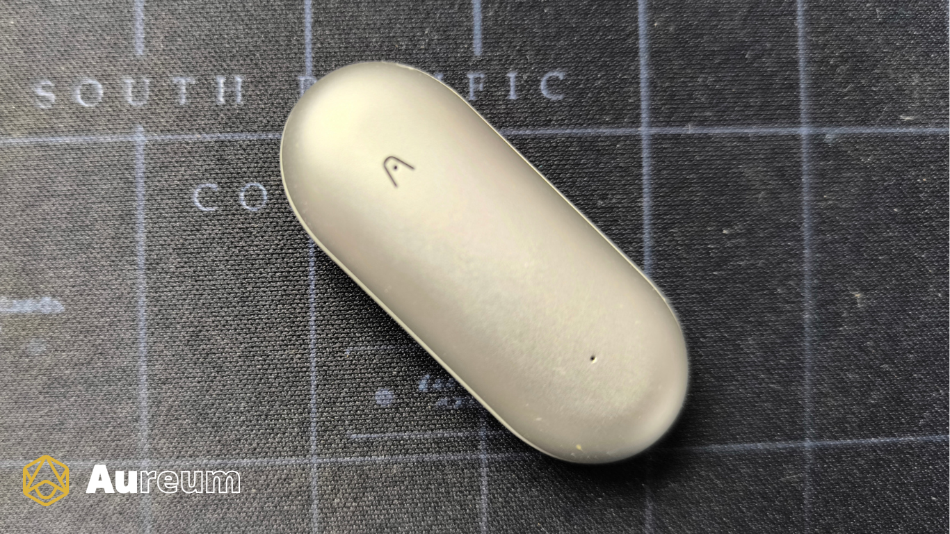 Plaud Pin - Aureum Co -3